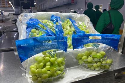 Vanguard Water For All white grapes