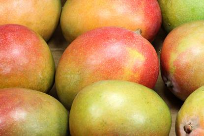 Generic mangoes closeup