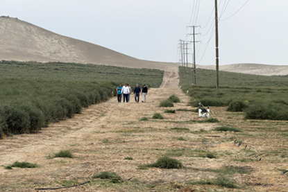 Wealmoor’s production in Northern Peru