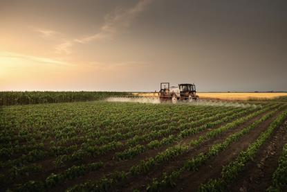 Tractor spraying vegetable field Adobe Stock