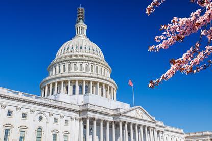 US Capitol cherry blossom AdobeStock_139950136