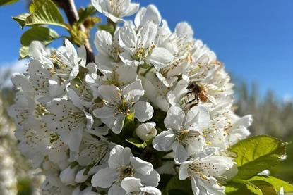 f6b2fede-9923-4abf-8897-2c8647e8d29b