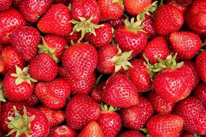 GEN strawberries AdobeStock_85785565