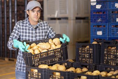 Generic potato sorting warehouse