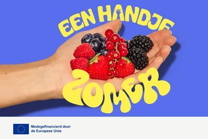Een-handje-vol-zomer-banner-website-slot3