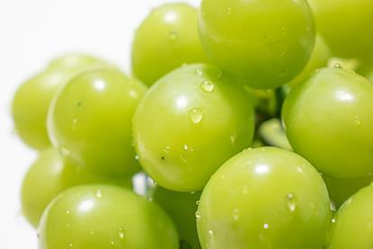 Shine Muscat grapes AdobeStock_2005010990