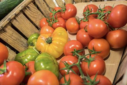 Mixed tomatoes in wooden container