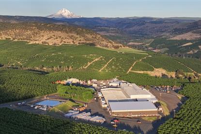 Orchard View Cherries Oregon landscape 2026