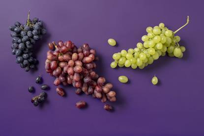 Olympic grapes