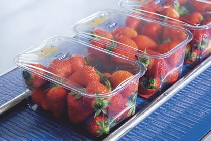 Ilip strawberry packaging