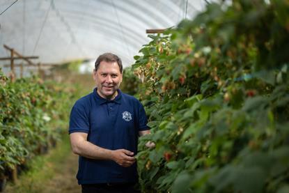 The Summer Berry Company Group CEO David Sanclement
