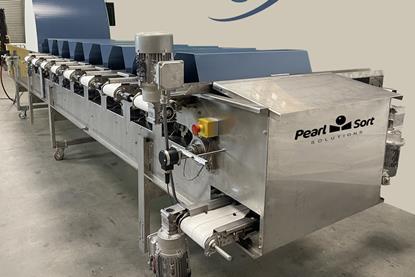 The Blue Pearl  blueberry sorter