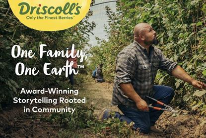 Driscoll's