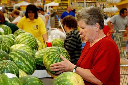 Ungarn: Neue Melonen-Sorten und Anbautechnologien im Fokus