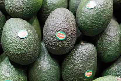 Zeitz_FL2013_Del Monte Avocados