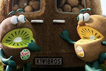 NZ Zespri Kiwi Brothers