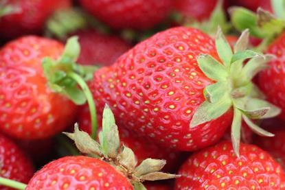 Dia Spanish strawberries