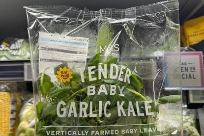 M&S new Baby Garlic Kale is vertically farmed