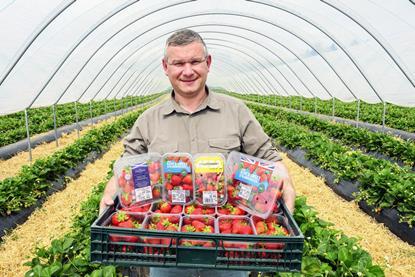 D. Geddes Farms' soft-fruit manager Sergei Kaminski
