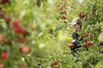 Topfruit is among the recipients of new funding