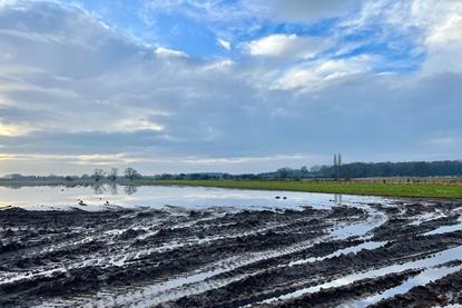 Flooded carrot fields near York