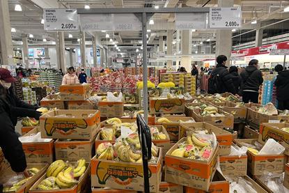 Sumifru has entered Costco Korea's regular banana display (2)