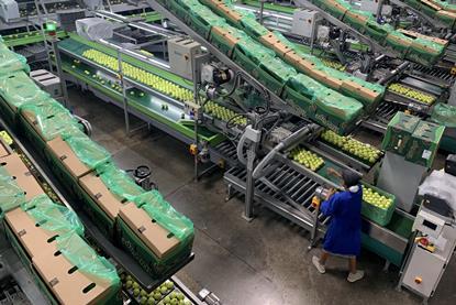 Ceres Fruit Growers Tru-Cape South Africa apple packhouse