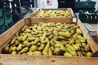 The fresh produce industry already works with food surplus charities