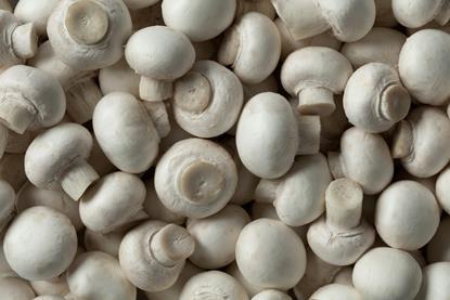 Generic mushrooms top-down Adobe Stock