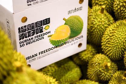 Hongjiu Fruit durian