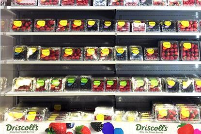 CN Driscolls berries range rebrand