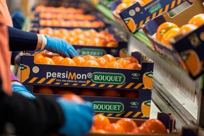 ES Spanish persimmon Bouquet Anecoop