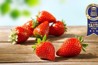 NL Inspire strawberries The Greenery Superior Taste Award