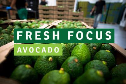 FF Avo website pic