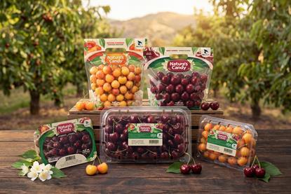 Nature's Candy has had a refresh