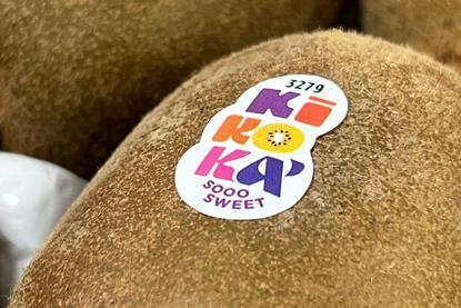 Kikoka kiwifruit detail