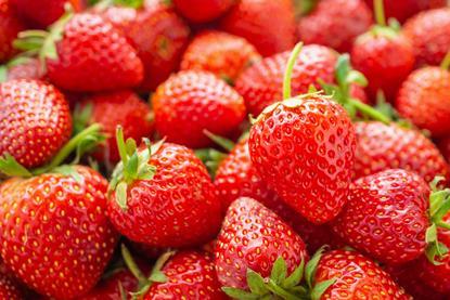 Strawberries Adobe Stock 280355841