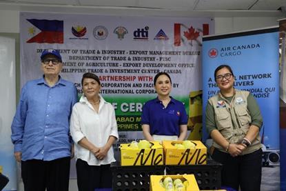 The first shipment of Philippine Carabao mangoes bound for Canada