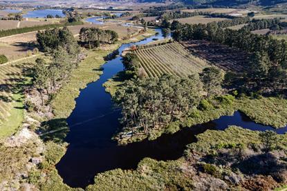 South Africa Western Cape landscape water Wrap Eosta