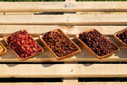 Foto: Jaco Wolmarans