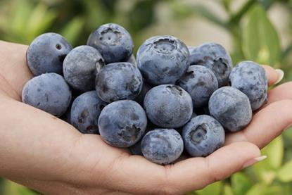 FCM14-057 Fall Creek