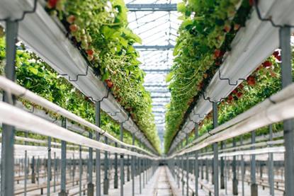 UK S&A Produce