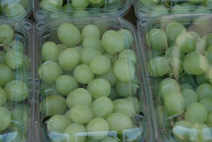 uvas trauben daphne schmidt