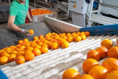 Foto: siculodoc - AdobeStock