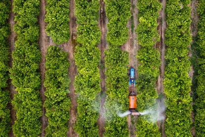 Tractor spraying citrus trees