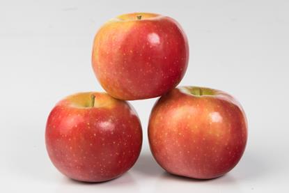 Candine-Fruit (8)