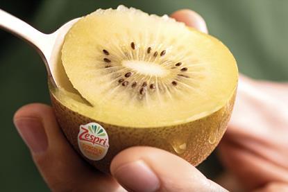 Zespri SunGold kiwifruit held