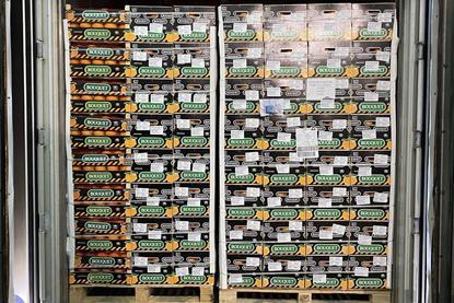 Spanish citrus Bouquet cold storage