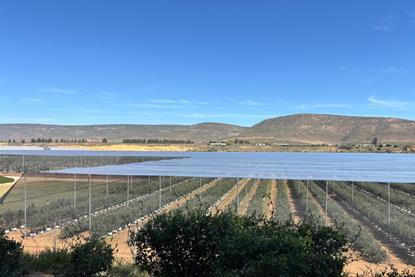 South Africa site 2