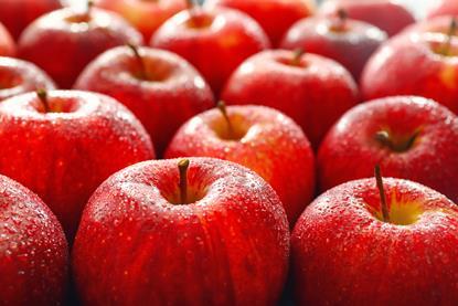 apples